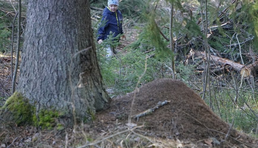 Kiidjärve matkarada (kuklasterada)