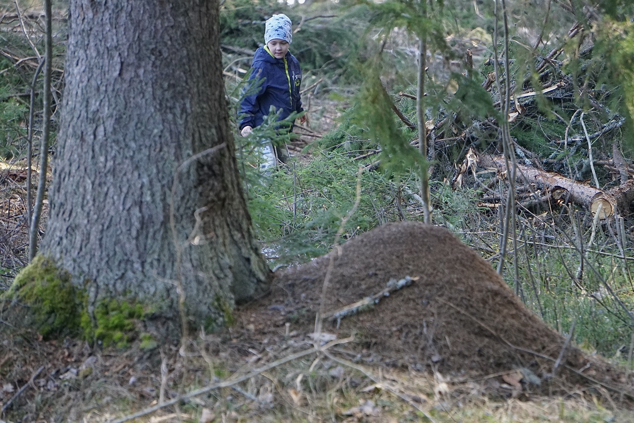 Kiidjärve matkarada (kuklasterada)