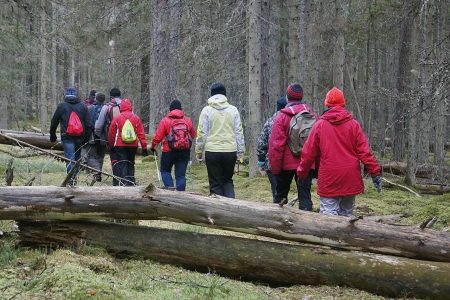 Roiupalu matkarada 2,5 km